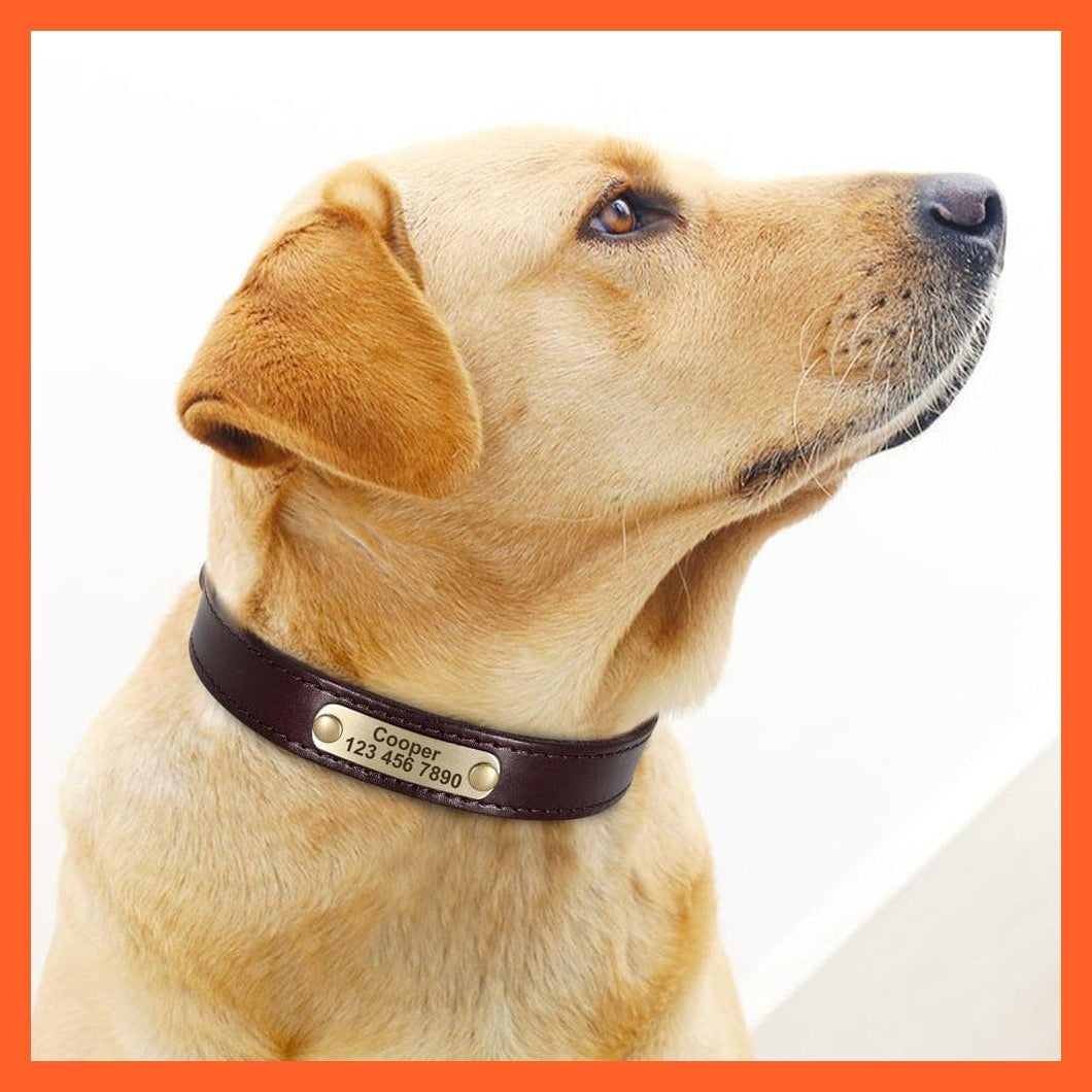 whatagift.com.au Animals & Pet Supplies Customized Leather Dog Collar | Engraved Pet Id Tag Collars