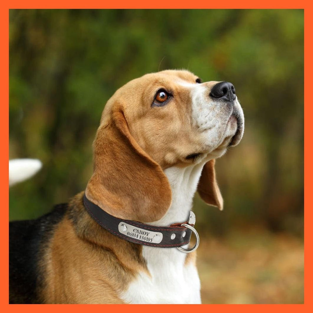 whatagift.com.au Animals & Pet Supplies Customized Leather Dog Collar | Engraved Pet Id Tag Collars