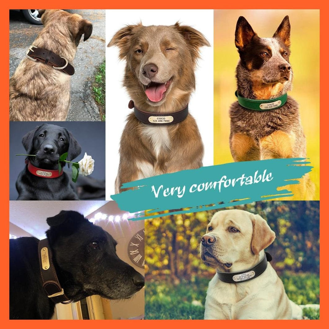 whatagift.com.au Animals & Pet Supplies Customized Leather Dog Collar | Engraved Pet Id Tag Collars