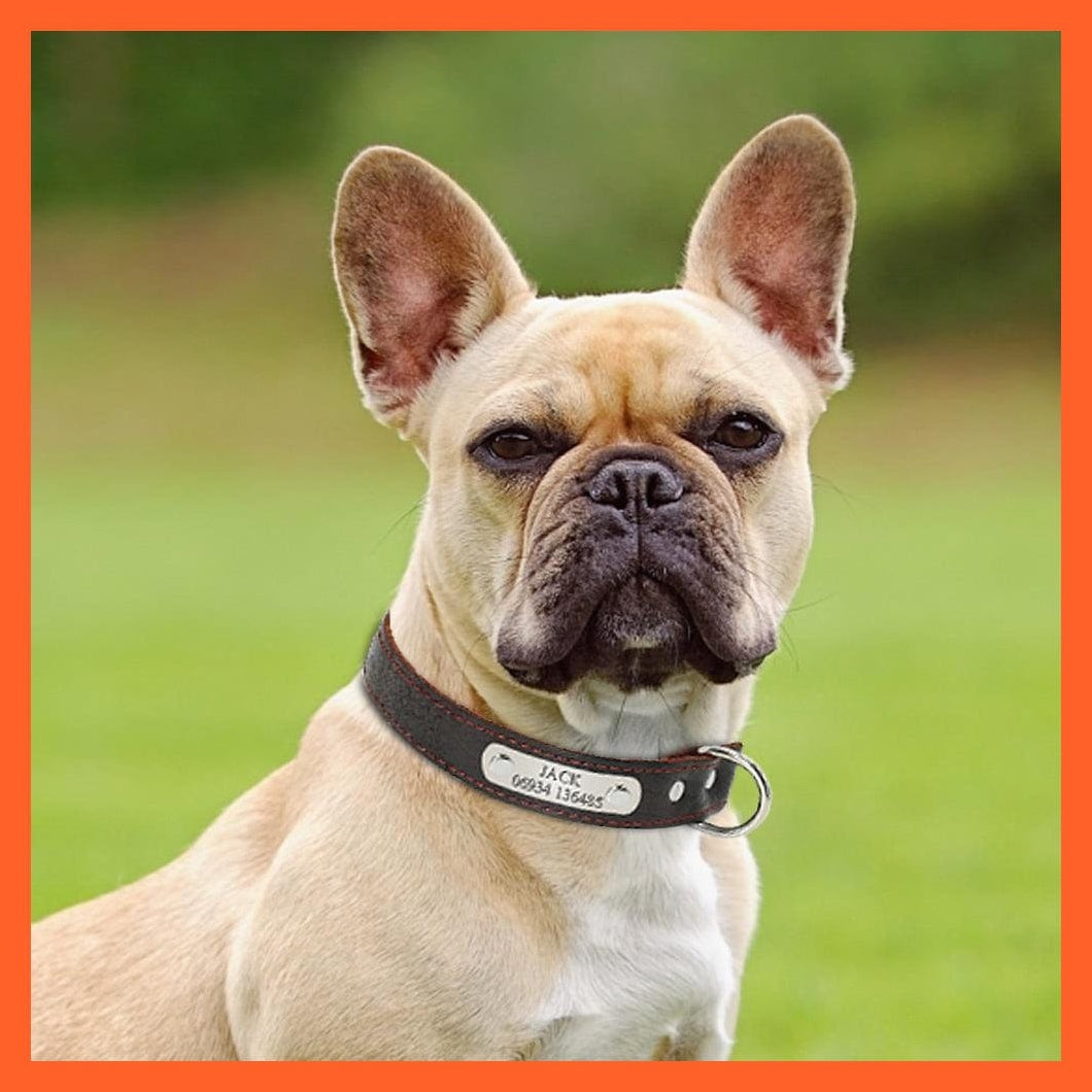 whatagift.com.au Animals & Pet Supplies Customized Leather Dog Collar | Engraved Pet Id Tag Collars
