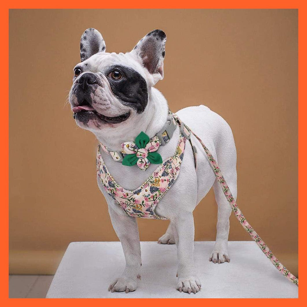 whatagift.com.au Animals & Pet Supplies French Bulldog Harness Leash And Collar Set | Printed Dog Harness Vest Leash Collar Set