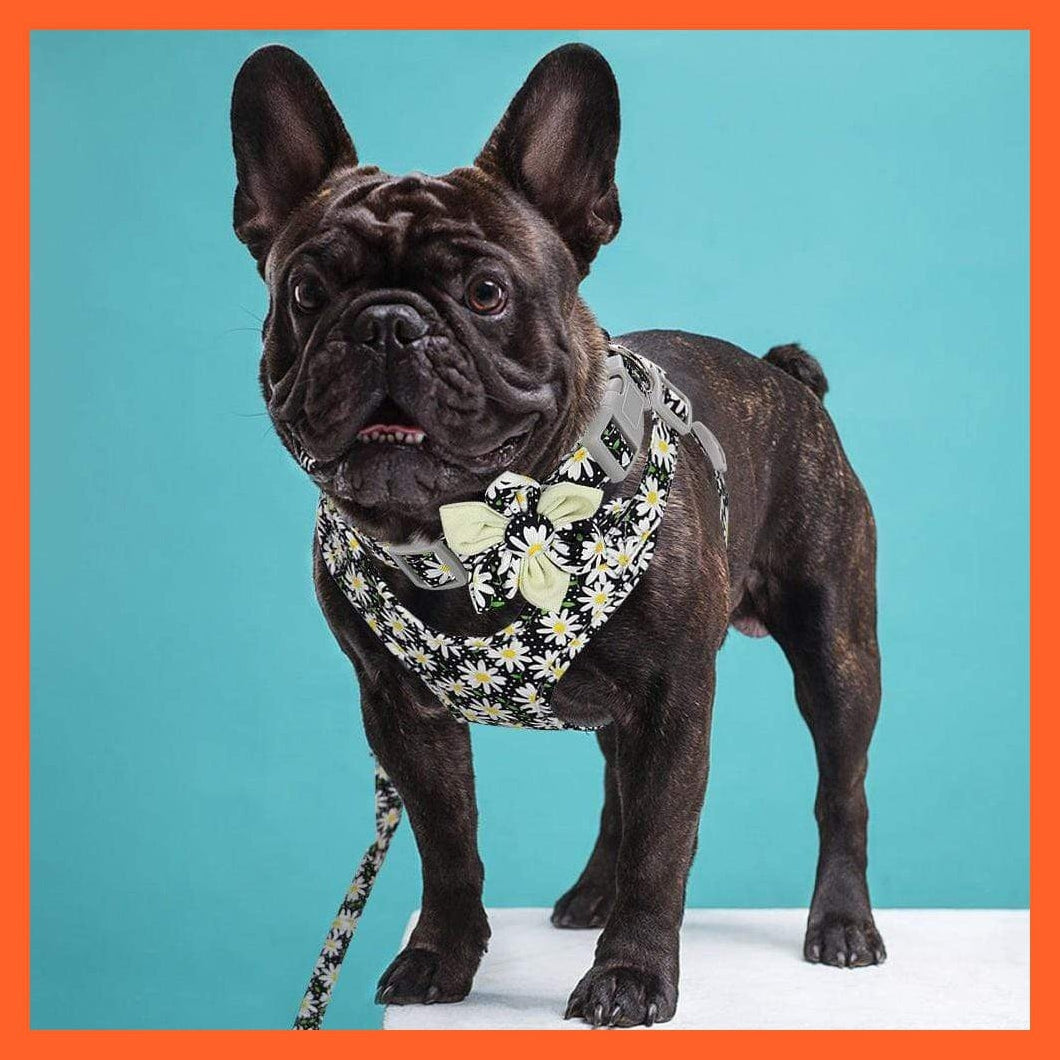 whatagift.com.au Animals & Pet Supplies French Bulldog Harness Leash And Collar Set | Printed Dog Harness Vest Leash Collar Set