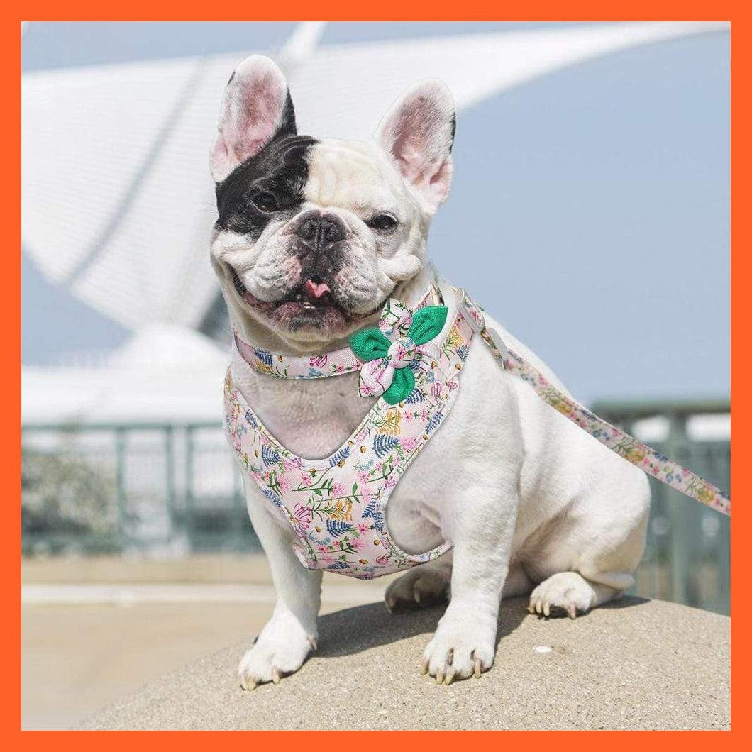 whatagift.com.au Animals & Pet Supplies French Bulldog Harness Leash And Collar Set | Printed Dog Harness Vest Leash Collar Set