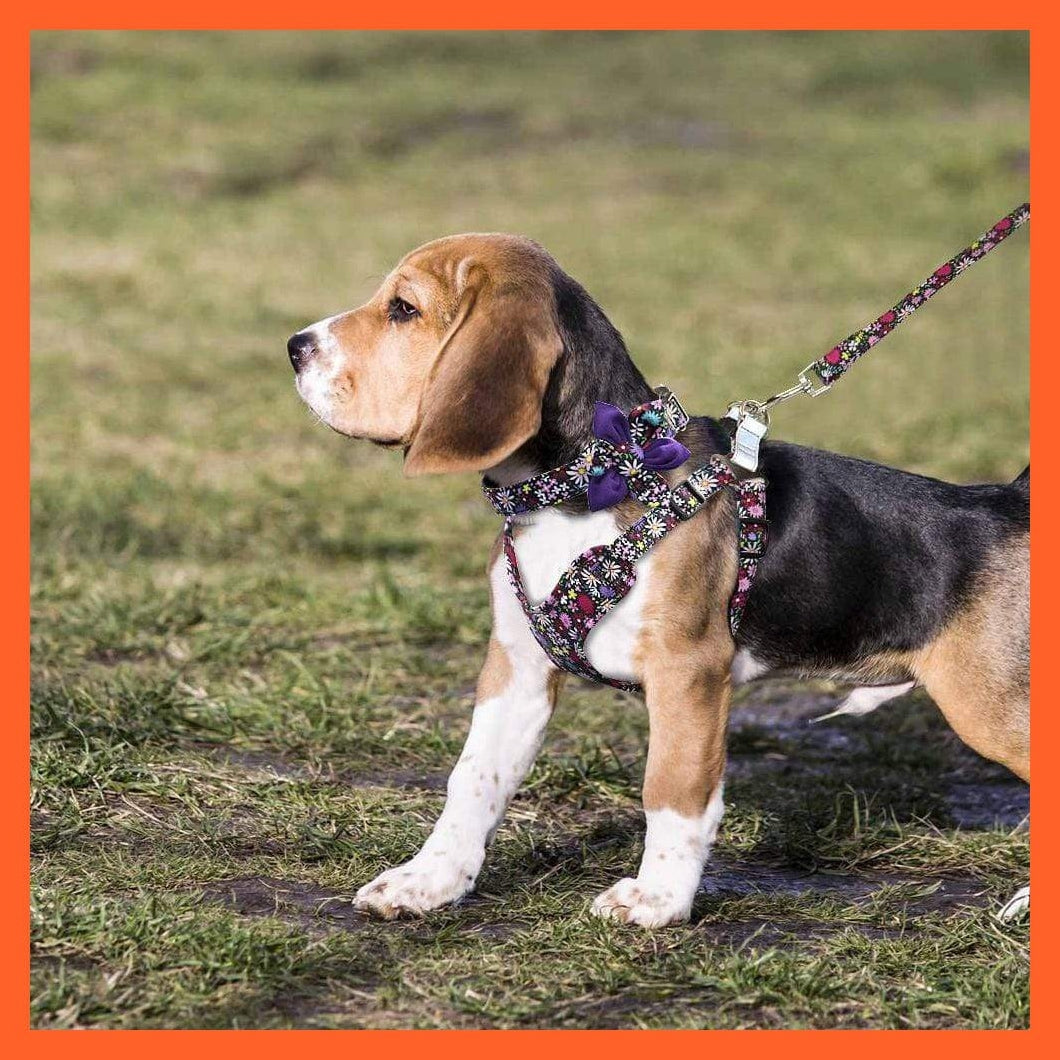 whatagift.com.au Animals & Pet Supplies French Bulldog Harness Leash And Collar Set | Printed Dog Harness Vest Leash Collar Set