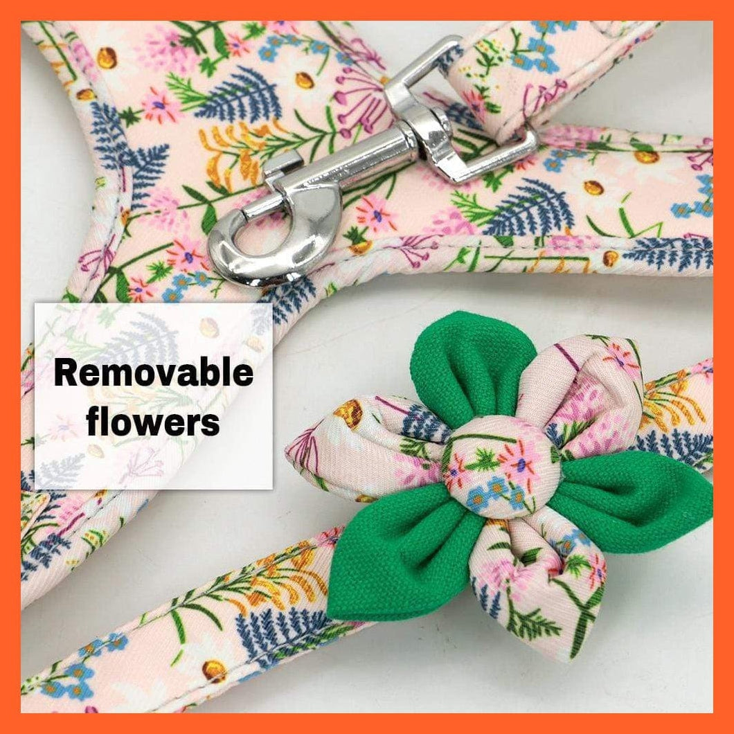 whatagift.com.au Animals & Pet Supplies French Bulldog Harness Leash And Collar Set | Printed Dog Harness Vest Leash Collar Set