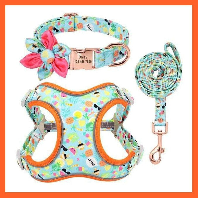 whatagift.com.au Animals & Pet Supplies Fruit / S Custom Printed Dog Collar Leash Set | Personalized Pet Dog Collar Harnesses Walking Leash | For Medium Large Dogs