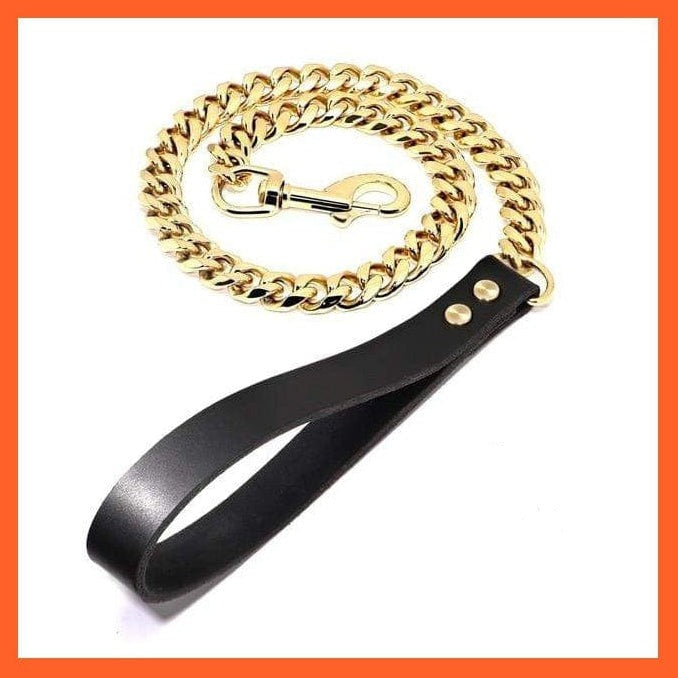 whatagift.com.au Animals & Pet Supplies Gold Leash / 50cm Chain Collar Leash Pet Training Collar | Steel Metal Gold Dog Accessories