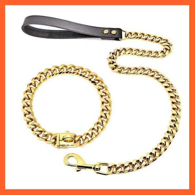 whatagift.com.au Animals & Pet Supplies Gold Set / 40cm Chain Collar Leash Pet Training Collar | Steel Metal Gold Dog Accessories