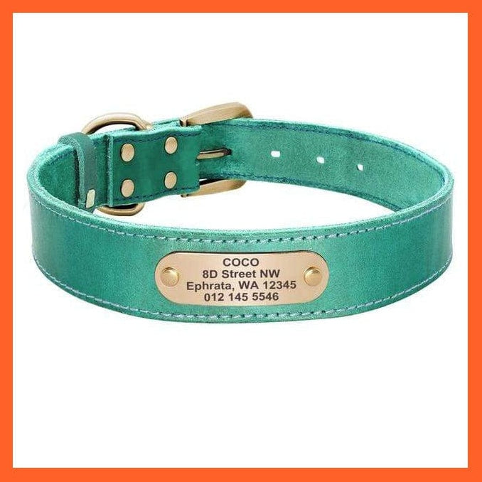 whatagift.com.au Animals & Pet Supplies Green Collar / XXS Custom Leather Dog Collar Leash Set | Personalized Pet Collar Leash Free Engraved Nameplate | For Small Medium Large Dogs