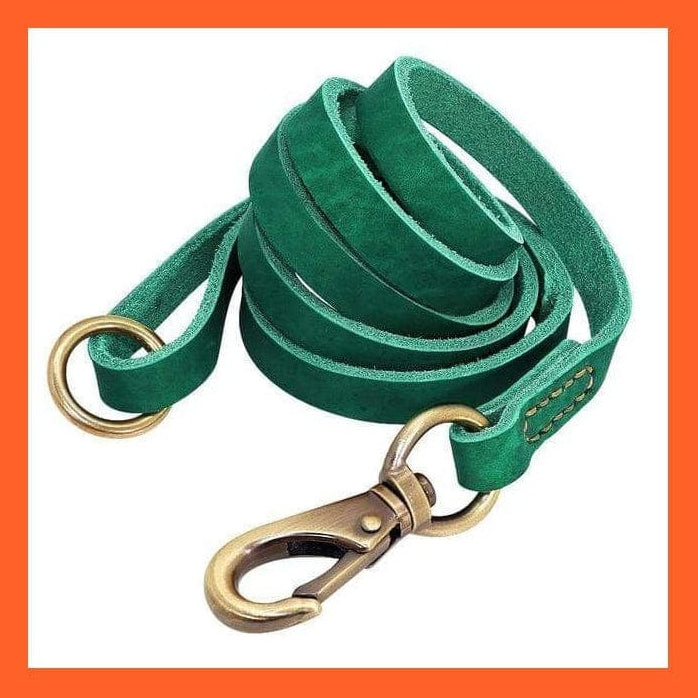 whatagift.com.au Animals & Pet Supplies Green Leash / L Custom Leather Dog Collar | Personalized Engraved Pet Collar Leash Set