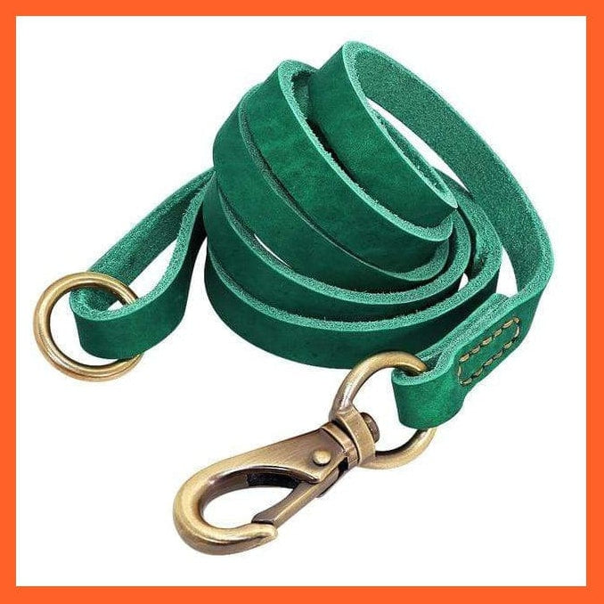 whatagift.com.au Animals & Pet Supplies Green Leash / S Custom Leather Dog Collar Leash Set | Personalized Pet Collar Leash Free Engraved Nameplate | For Small Medium Large Dogs