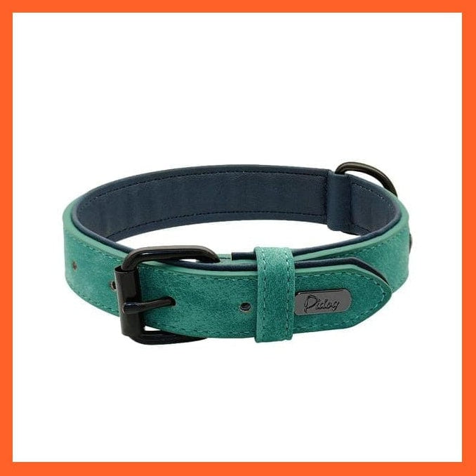 whatagift.com.au Animals & Pet Supplies green / S Leather Padded Soft Beagle Collar | Adjustable Collar For Small Medium Large Dogs