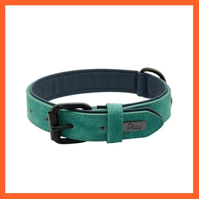whatagift.com.au Animals & Pet Supplies green / XXL Leather Padded Soft Beagle Collar | Big Dog Pitbull Bulldog Adjustable Collar | For Small Medium Large Dogs