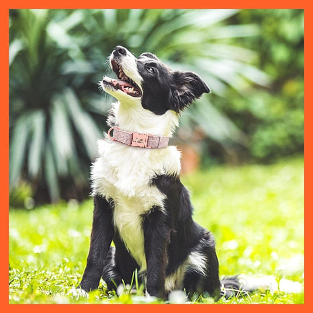whatagift.com.au Animals & Pet Supplies High Quality Personalized Dog Collar | Engraved Dog Accessories Adjustable Customized Pet Collar | For Small Medium Large Dogs