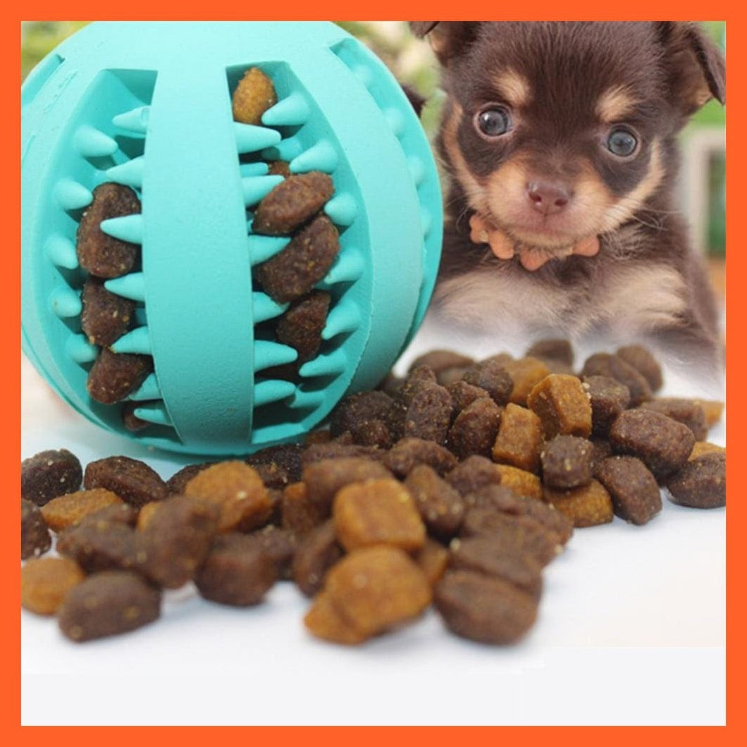 whatagift.com.au Animals & Pet Supplies Interactive Rubber Balls Pet Chew Toys | Dog Cat Reward Balls