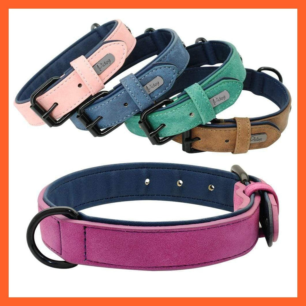 whatagift.com.au Animals & Pet Supplies Leather Padded Soft Beagle Collar | Adjustable Collar For Small Medium Large Dogs