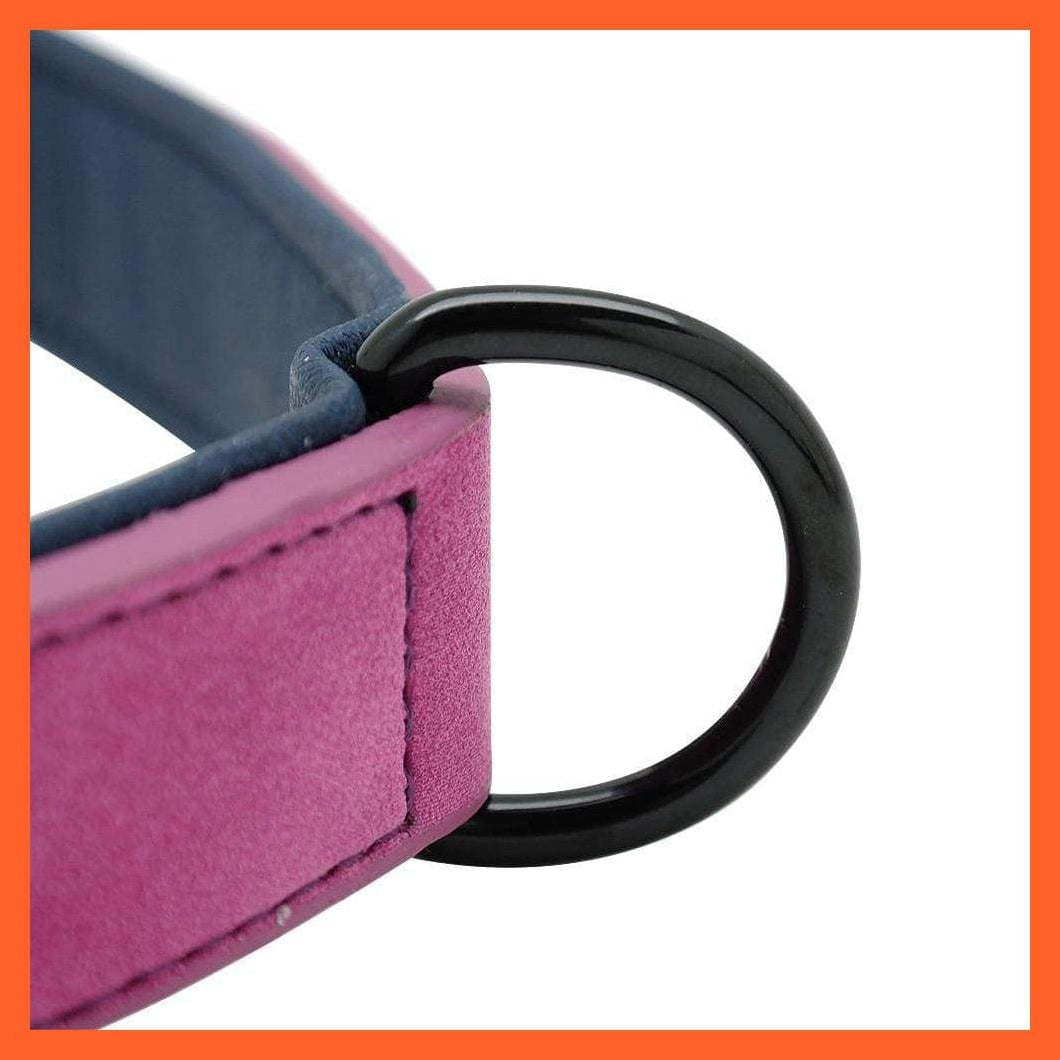 whatagift.com.au Animals & Pet Supplies Leather Padded Soft Beagle Collar | Adjustable Collar For Small Medium Large Dogs