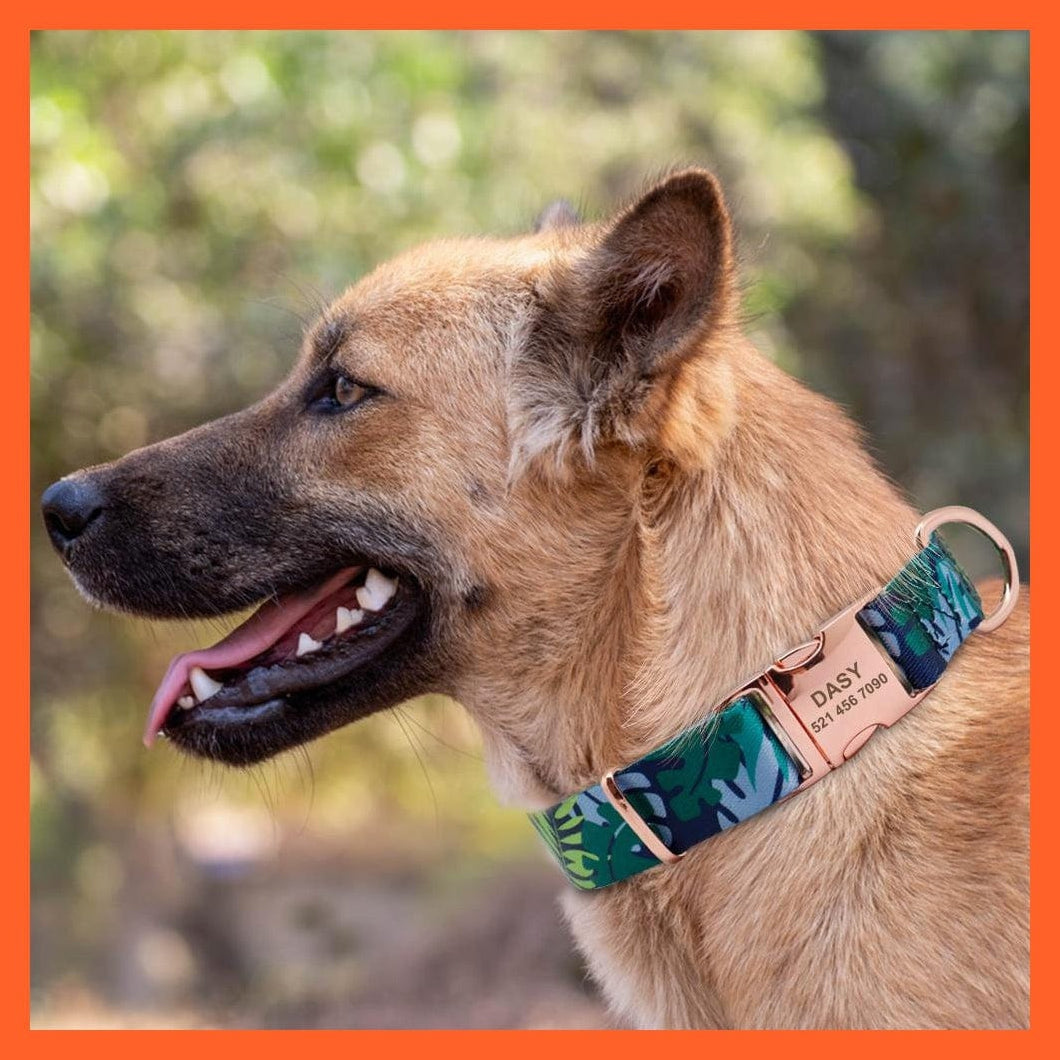 whatagift.com.au Animals & Pet Supplies Personalized Custom Nylon Dog Collar | Engraved Pet Dog Cat Name Tag Collar