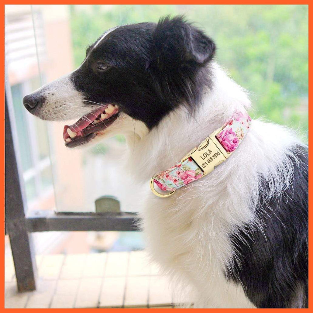 Personalized Custom Nylon Dog Collar | Engraved Pet Dog Cat Name Tag Collar | For Small Medium Large Dogs | whatagift.com.au.