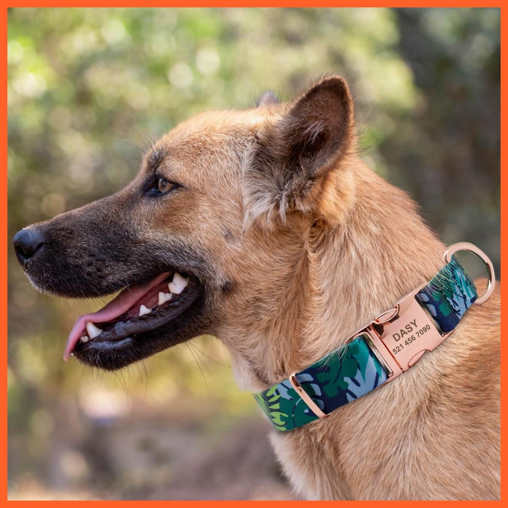 Personalized Custom Nylon Dog Collar | Engraved Pet Dog Cat Name Tag Collar | For Small Medium Large Dogs | whatagift.com.au.