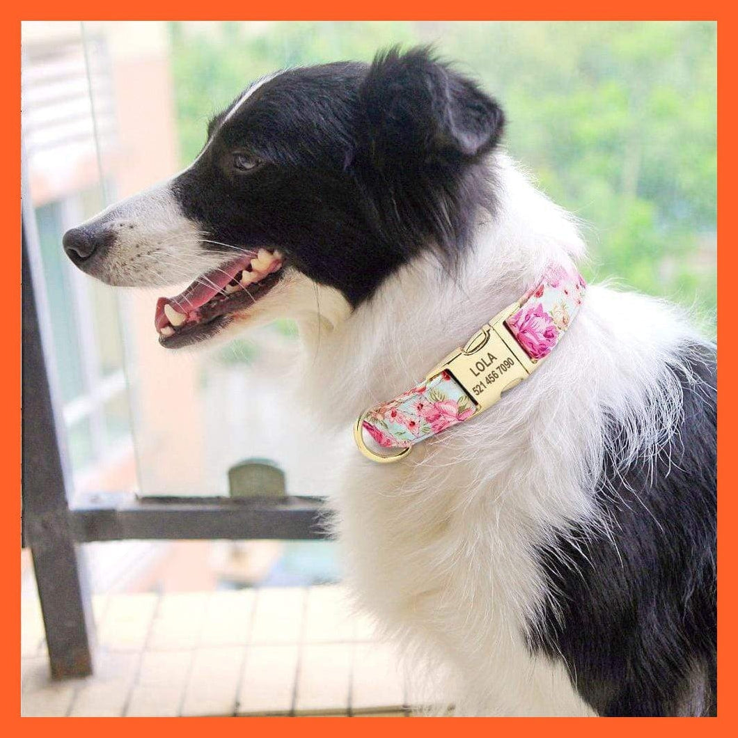 whatagift.com.au Animals & Pet Supplies Personalized Custom Nylon Dog Collar | Engraved Pet Dog Cat Name Tag Collar | For Small Medium Large Dogs