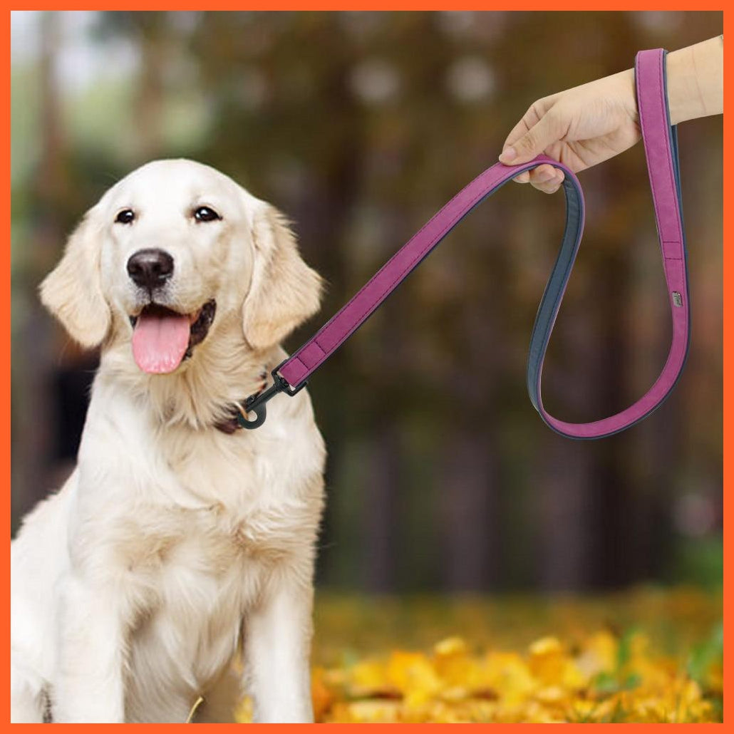 Personalized Leather Custom Dog Collars | Pet Dog Name Tag Collar | Leash Lead For Small Medium Large Dogs Pitbull Bulldog Pugs Beagle | whatagift.com.au.