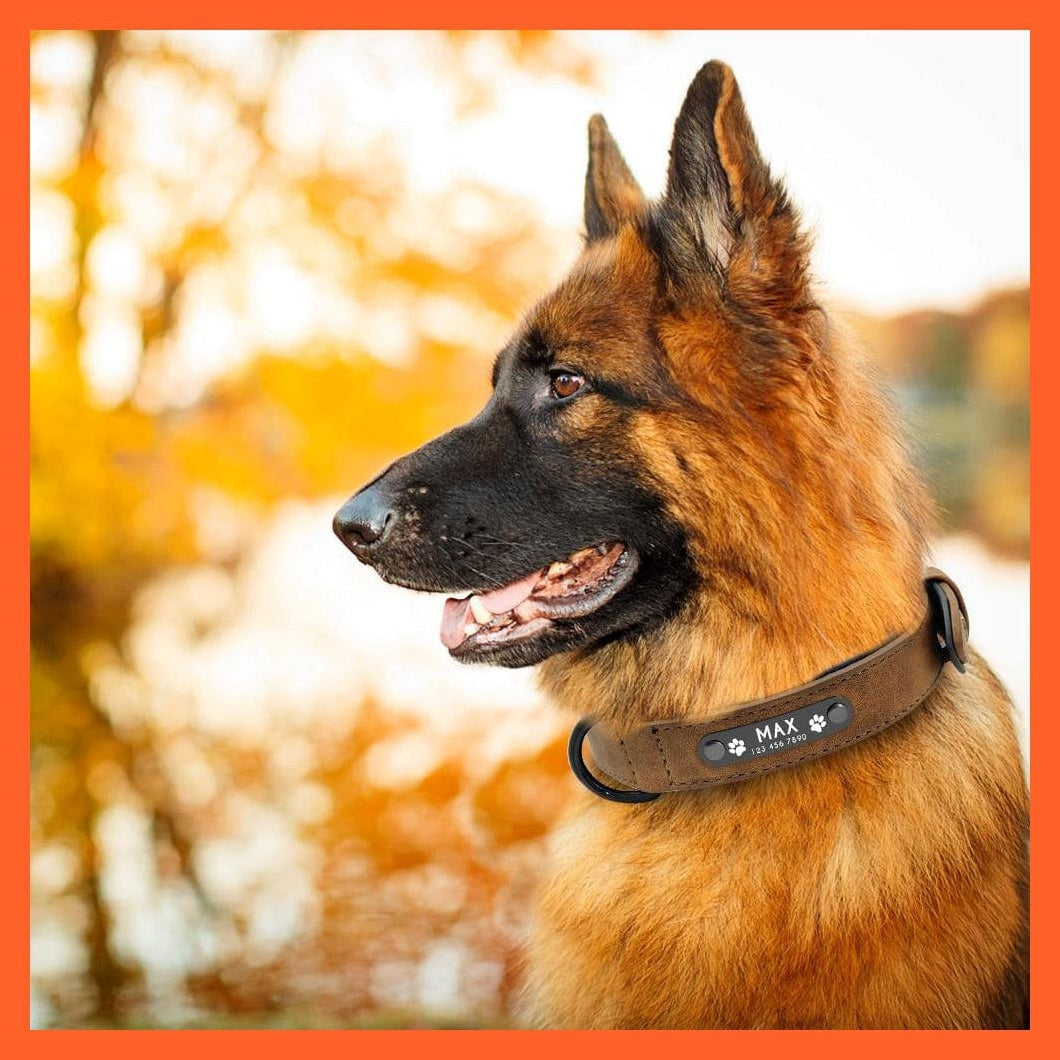 whatagift.com.au Animals & Pet Supplies Personalized Leather Custom Dog Collars | Pet Dog Name Tag Collar | Leash Lead For Small Medium Large Dogs Pitbull Bulldog Pugs Beagle