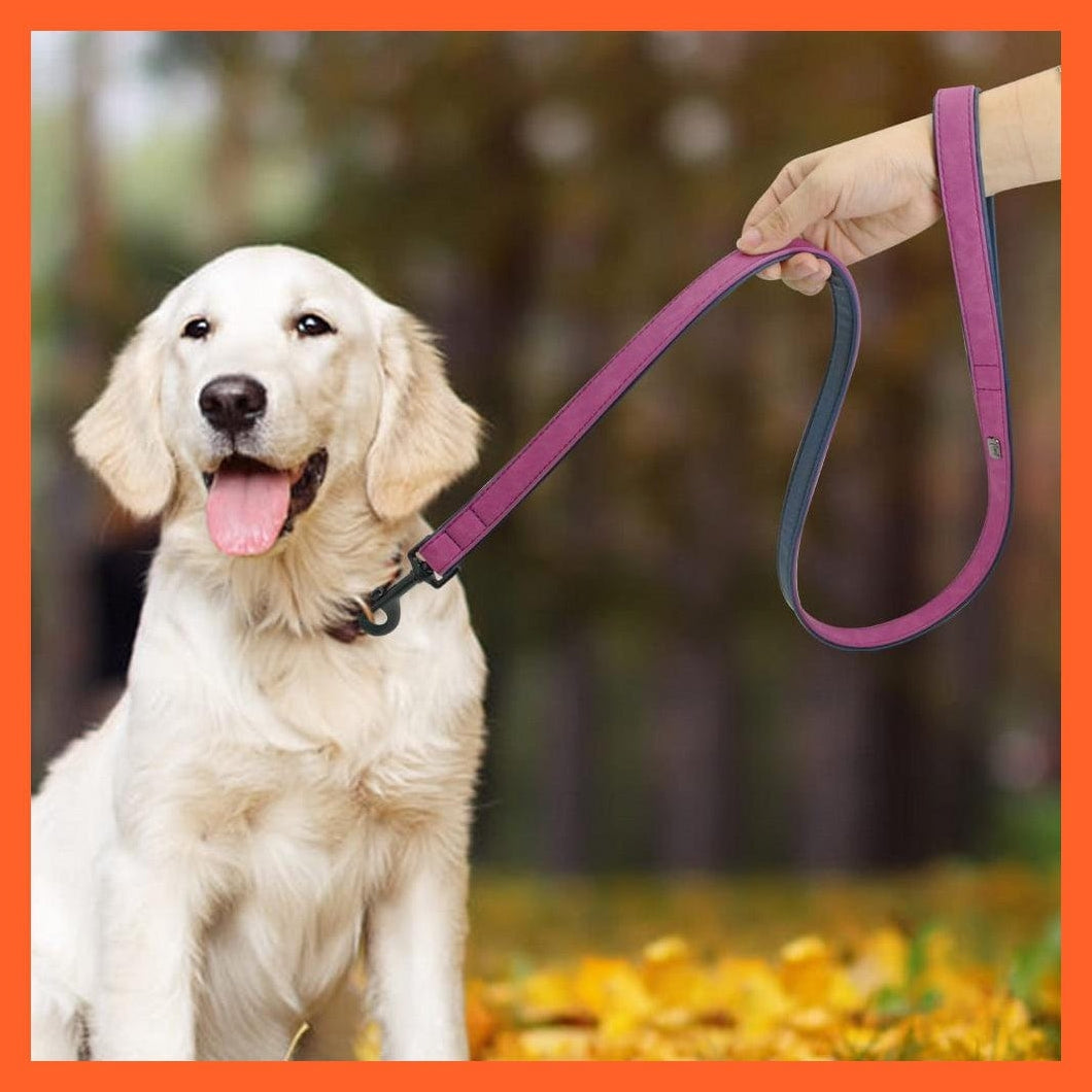 whatagift.com.au Animals & Pet Supplies Personalized Leather Custom Dog Collars | Pet Name Tag Collar Leash Lead