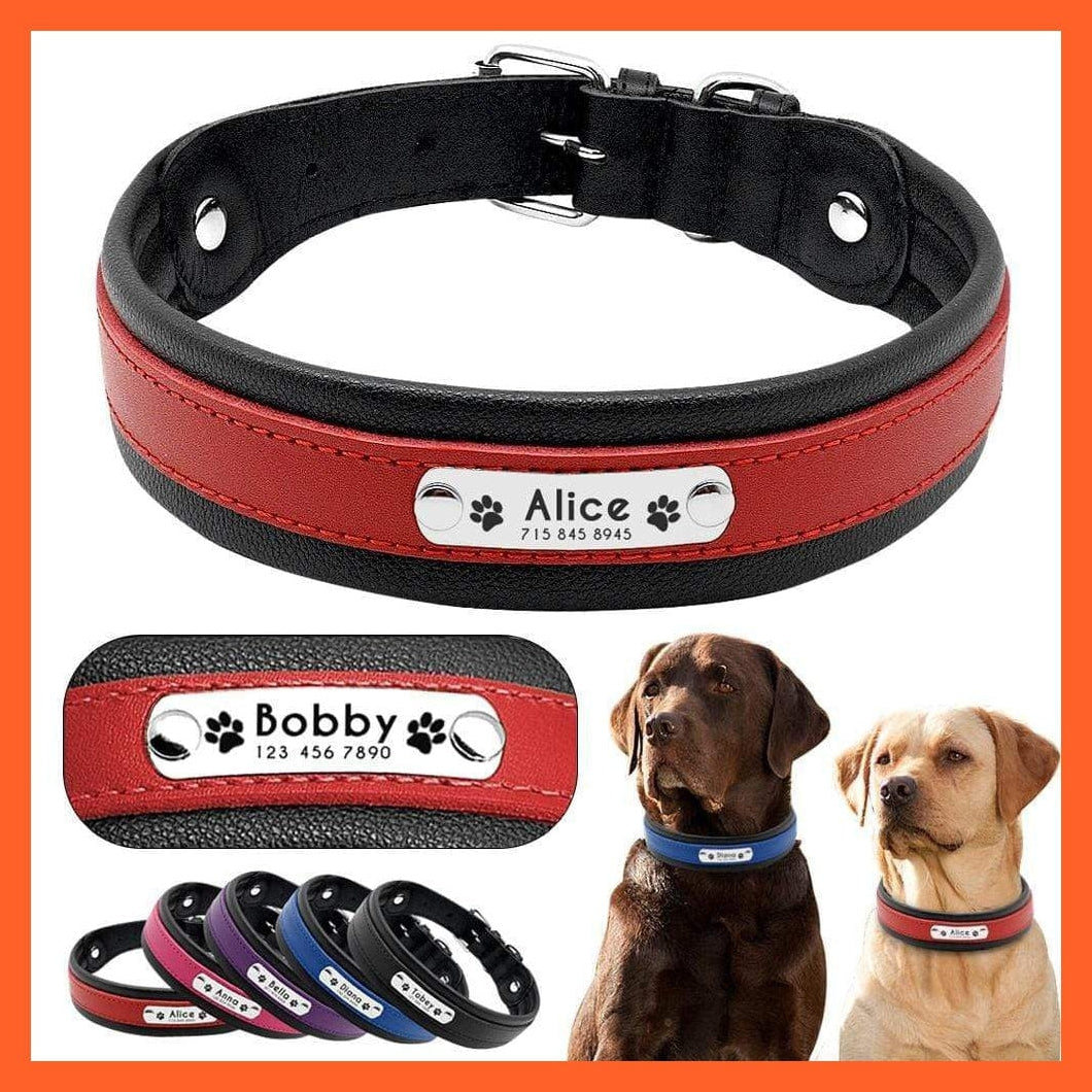 whatagift.com.au Animals & Pet Supplies Personalized Leather Dog Collar | Customized Padded Engraved Pet Big Dog Bulldog Collars