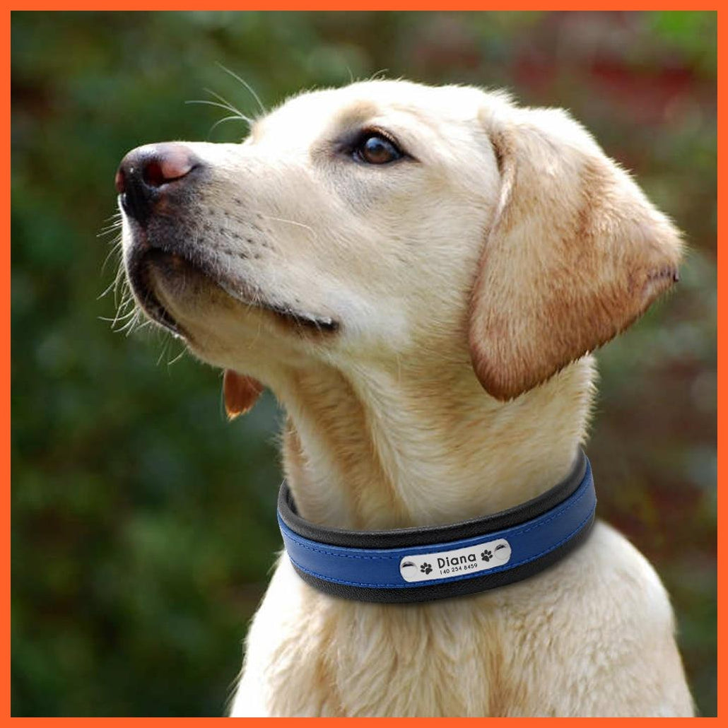 Personalized Leather Dog Collar | Customized Padded Engraved Pet Big Dog Bulldog Collars | For Medium Large Dogs Perro Pitbull | whatagift.com.au.