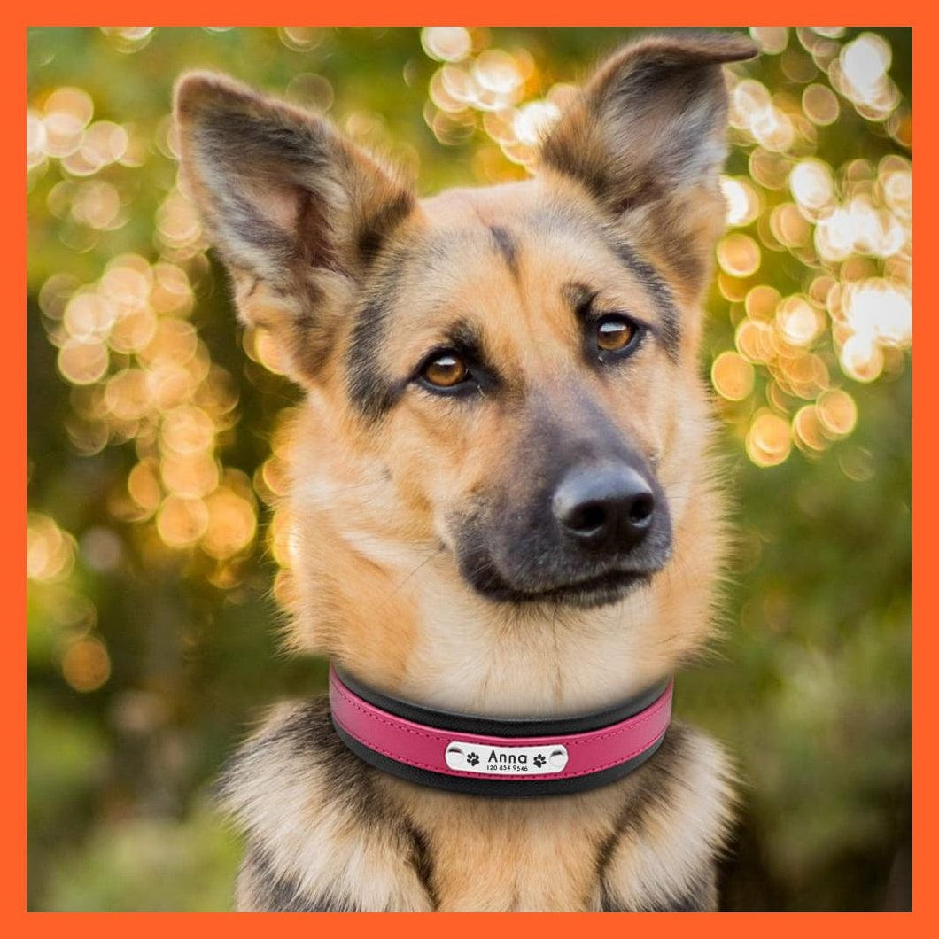 whatagift.com.au Animals & Pet Supplies Personalized Leather Dog Collar | Customized Padded Engraved Pet Big Dog Bulldog Collars | For Medium Large Dogs Perro Pitbull