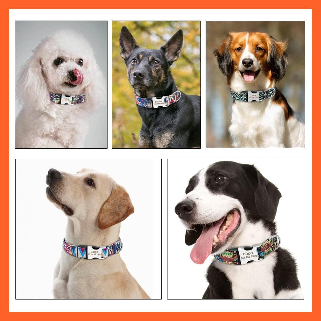 whatagift.com.au Animals & Pet Supplies Personalized Nylon Custom Dog Collar | Adjustable Engraved Puppy Pet Dog Name Tag Id Collars | For Small Large Dogs