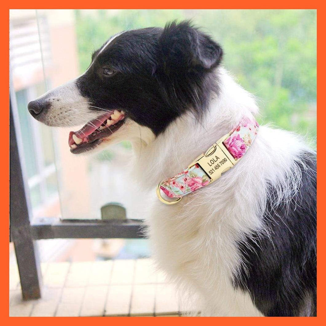 whatagift.com.au Animals & Pet Supplies Printed Personalized Dog Tag Collar | Custom Nylon Engraved Nameplate Collar