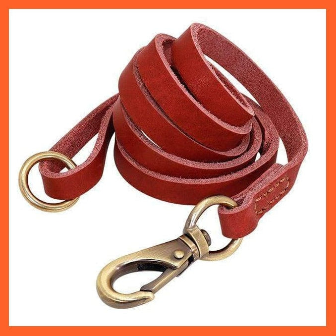 whatagift.com.au Animals & Pet Supplies Red Leash / S Custom Leather Dog Collar Leash Set | Personalized Pet Collar Leash Free Engraved Nameplate | For Small Medium Large Dogs