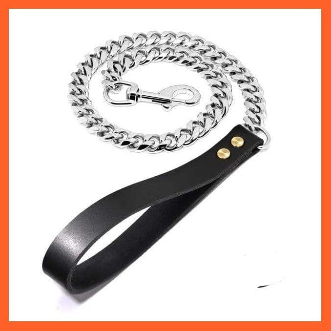 whatagift.com.au Animals & Pet Supplies Silver Leash / 50cm Chain Collar Leash Pet Training Collar | Steel Metal Gold Dog Accessories