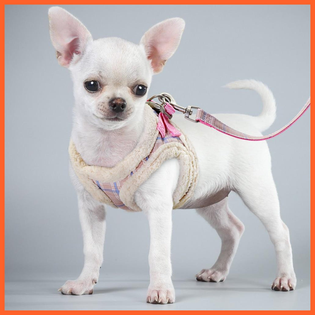 Soft Padded Pet Cat Harness Vest | Harness Collar Adjustable Walking Leash | For Small Medium Dogs Cats | whatagift.com.au.