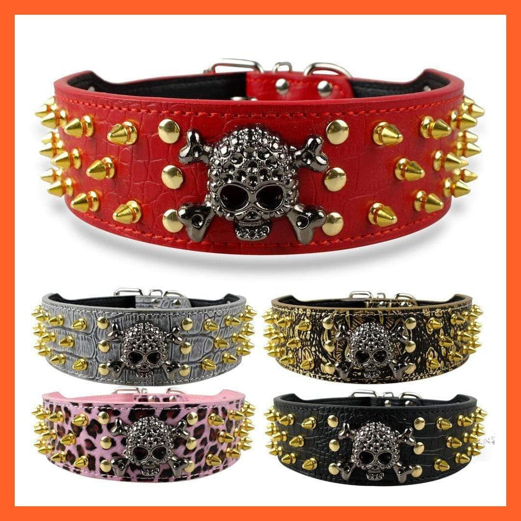 Bullet dog collar online