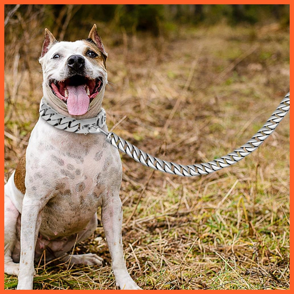 Stainless Steel Metal Gold Dog Accessories | Chain Collar Leash Pet Training Collar | For Medium Large Dogs Bulldog Pitbull | whatagift.com.au.