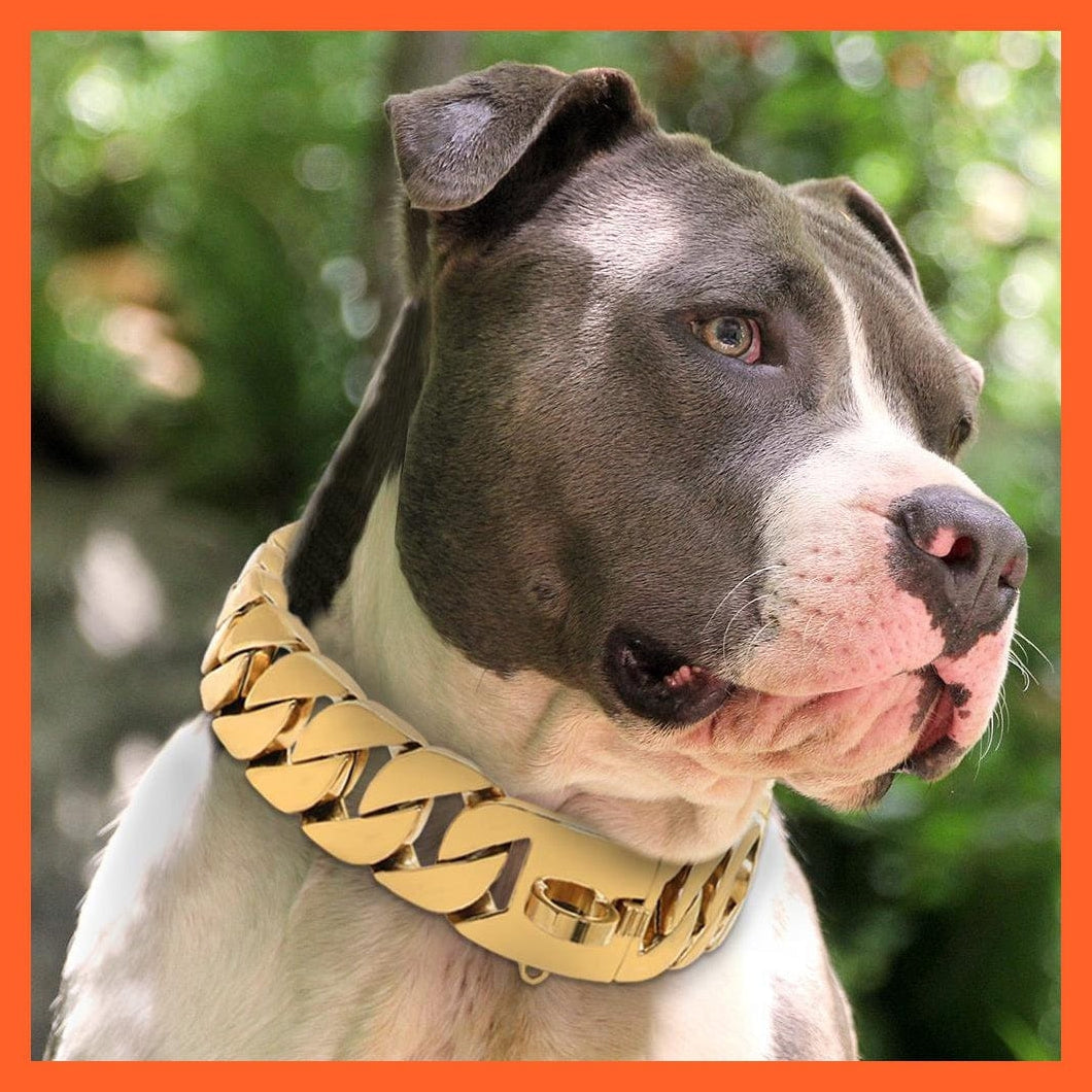 whatagift.com.au Animals & Pet Supplies Strong Metal Silver Gold Show Collar | Stainless Steel Pet Training Dog Chain Collars | For Large Dogs Pitbull Bulldog