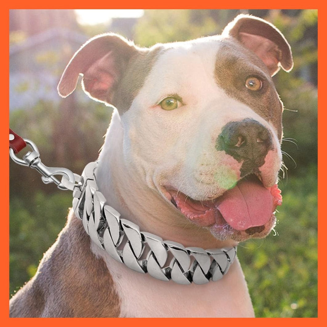whatagift.com.au Animals & Pet Supplies Strong Metal Silver Gold Show Collar | Stainless Steel Pet Training Dog Chain Collars | For Large Dogs Pitbull Bulldog