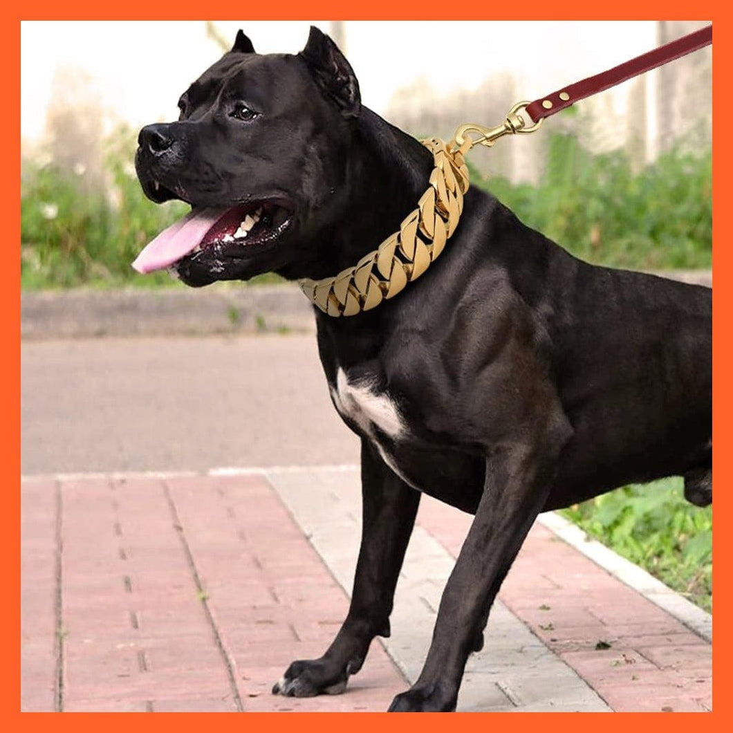 whatagift.com.au Animals & Pet Supplies Strong Metal Silver Gold Show Collar | Stainless Steel Pet Training Dog Chain Collars | For Large Dogs Pitbull Bulldog