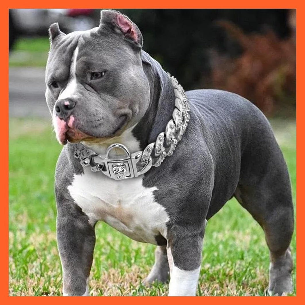 whatagift.com.au Animals & Pet Supplies Strong Pet Dog Chain Collar Stainless Steel | Gold Silver Pets Training Collars Metal Rhinestone Collar | For Medium Large Dogs Pitbull Bulldog