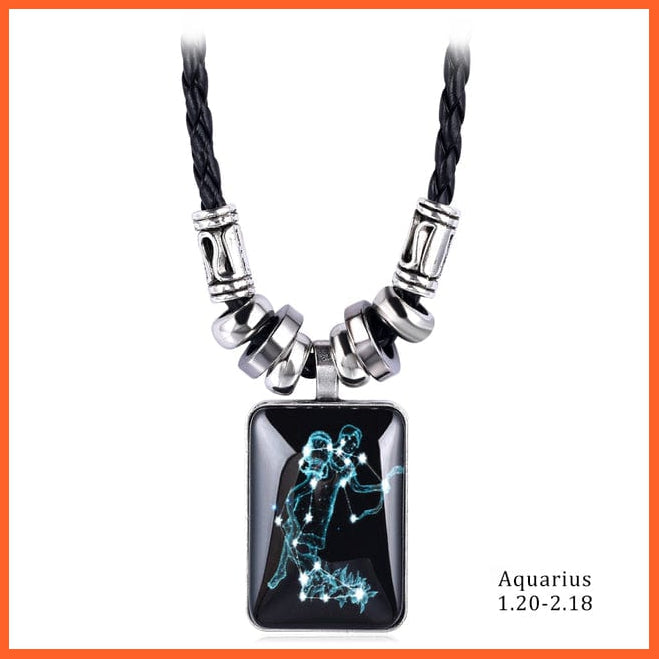 whatagift.com.au Aquarius 12 Zodiac Sign Charm Resin Pendant Necklace for Women Men