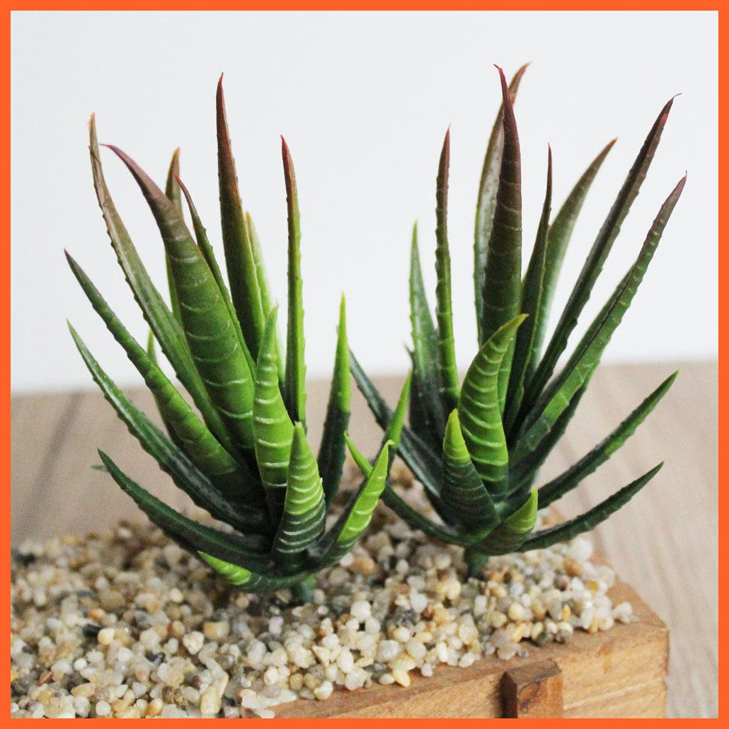 Artificial Succulents Plants | whatagift.com.au.