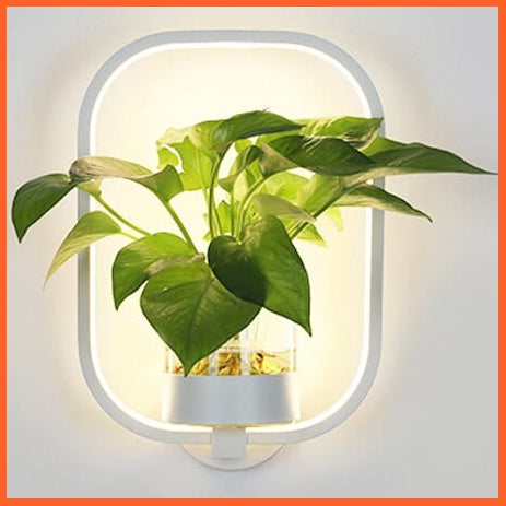 whatagift.com.au B White / Cold white Nordic Plant Wall Lamps LED Modern Minimalist Indoor Decor Light