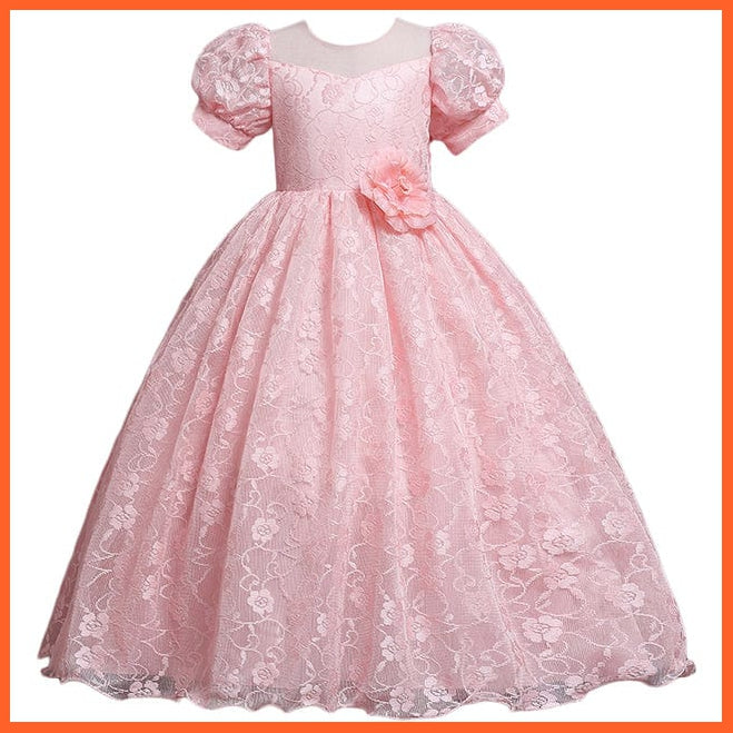 whatagift.com.au Baby Girls Flower Print Princess Ball Gown Party Trailing Dress