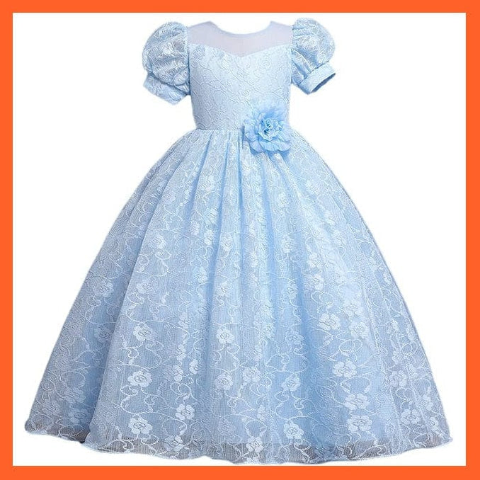 whatagift.com.au Baby Girls Flower Print Princess Ball Gown Party Trailing Dress