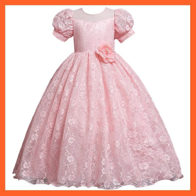 whatagift.com.au Baby Girls Flower Print Princess Ball Gown Party Trailing Dress