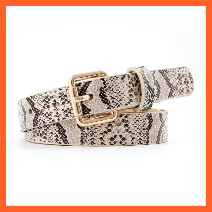 Women Pu Leather Belt 66 Styles Metal Buckle Waistband | whatagift.com.au.