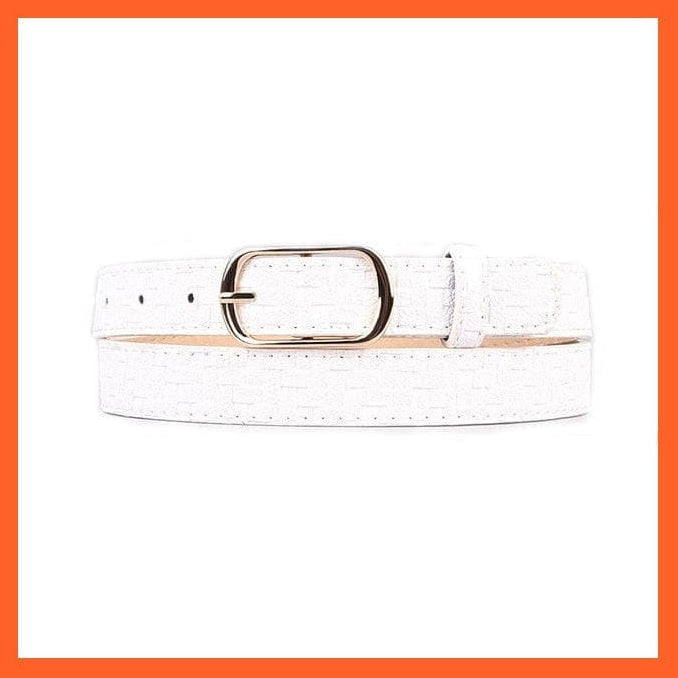 Women Pu Leather Belt 66 Styles Metal Buckle Waistband | whatagift.com.au.
